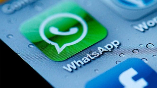 WhatsApp business: o que o aplicativo pode fazer pelo seu negócio