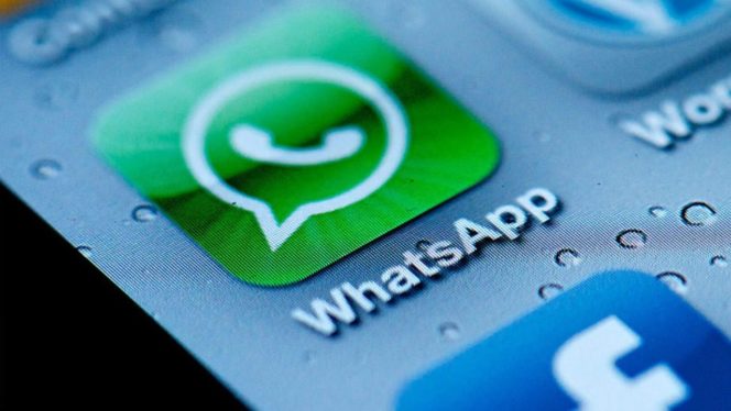WhatsApp business o que o aplicativo pode fazer pelo seu negócio