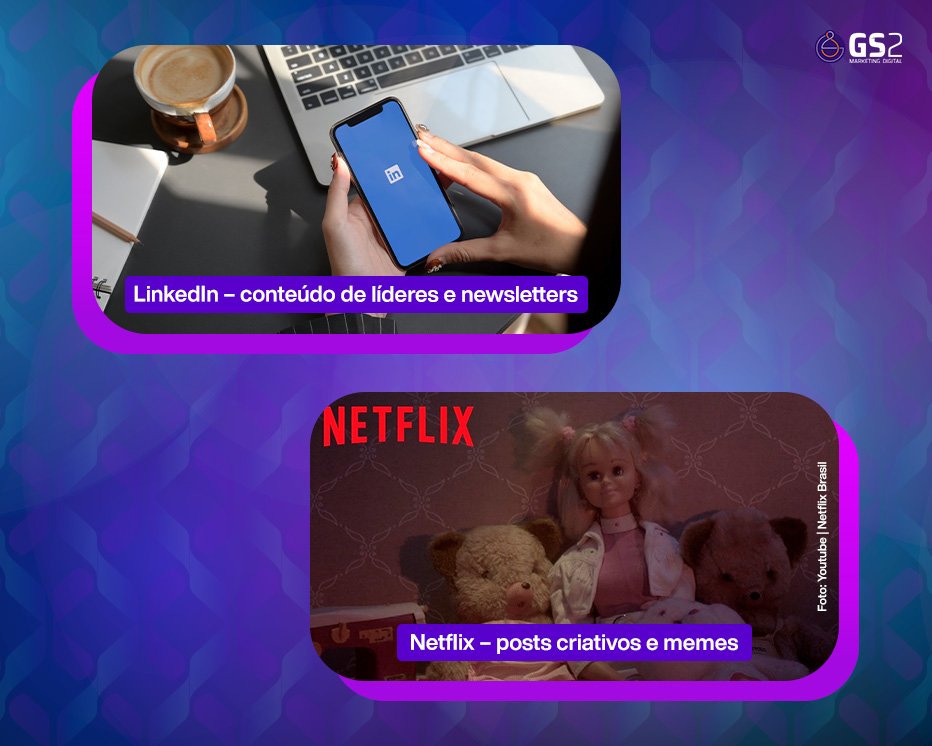 LinkedIn – conteúdo de líderes e newsletters e Netflix – posts criativos e memes.